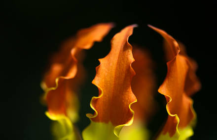 Remi Escola – Photography
