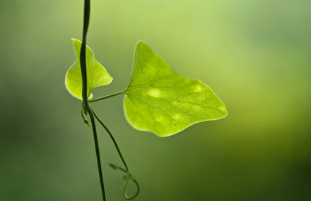 Remi Escola – Photography