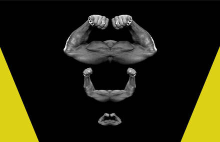 Plusieurs Requins Lance-Flammes – MUSCLE