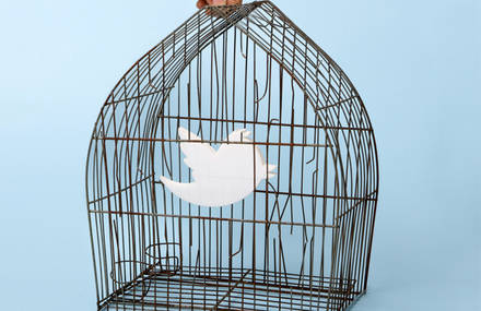 Tweety