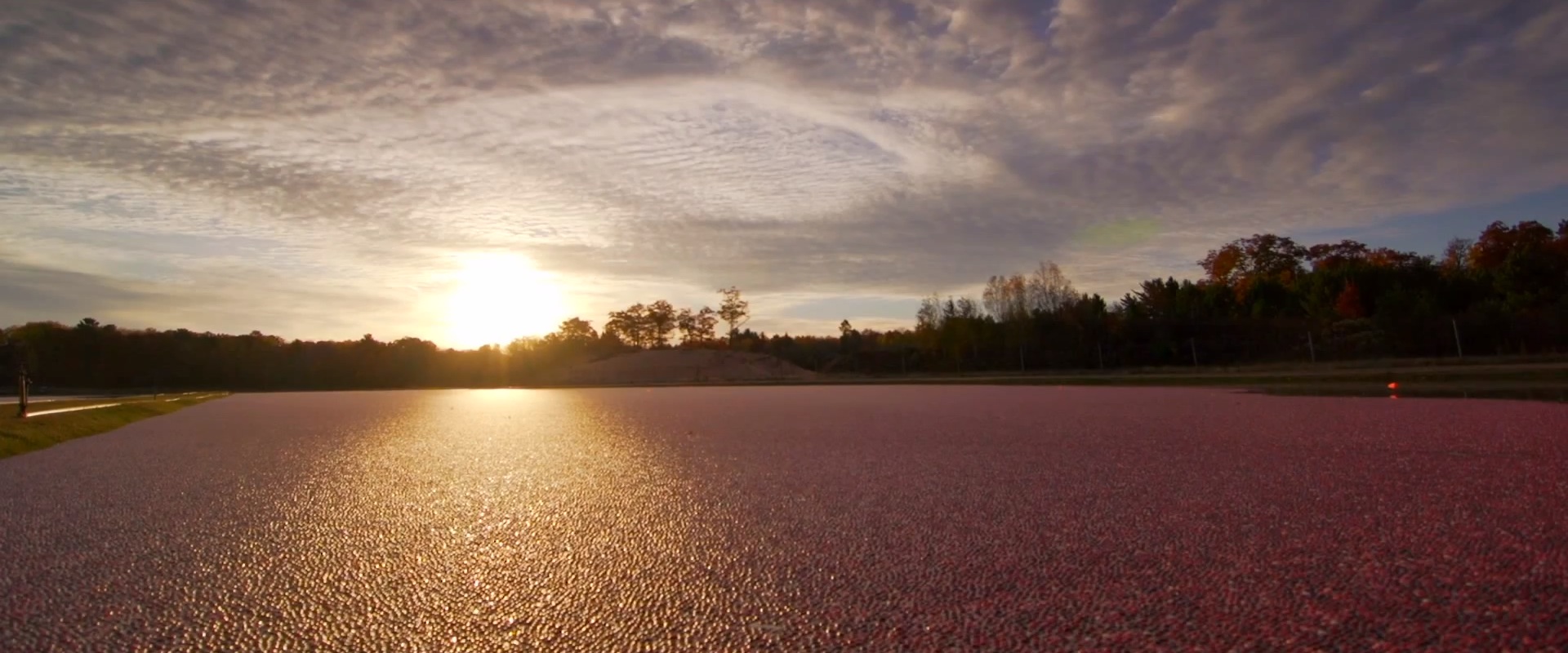 Cranberry Wakeboarding