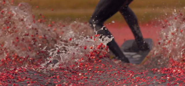 Cranberry Wakeboarding5