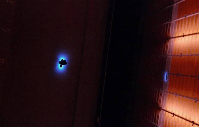 Firefly Skate