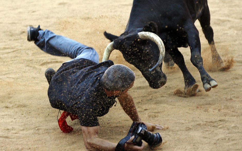 A photographer is knocked down by a wild cow during festivities in the bullring following the sixth running of the bulls of the San Fermin festival in Pamplona