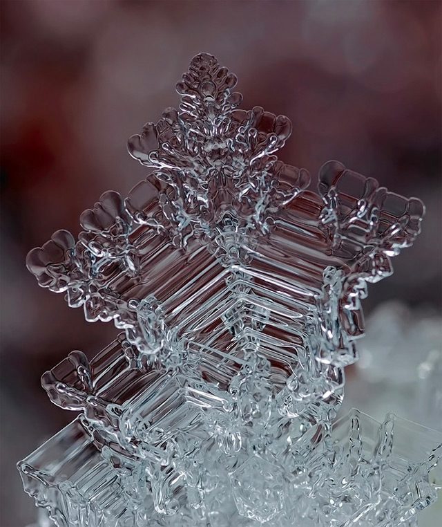 Snowflakes Macro Photography7