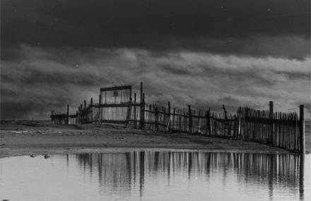 Paysages en Noir & Blanc