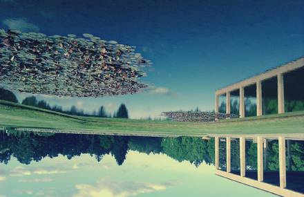 Reflection