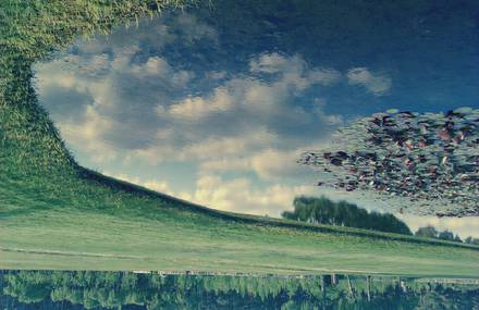 Reflection