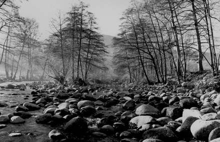 Paysages en Noir & Blanc