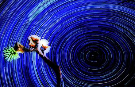 SUNCHASER STAR TRAILS