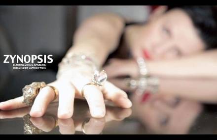 ZYNOPSIS