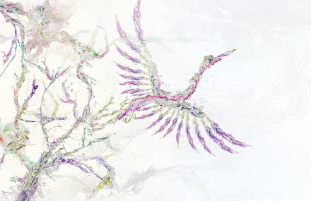 Illustrations of Saad Moosajee