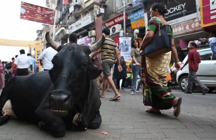 A Day in India