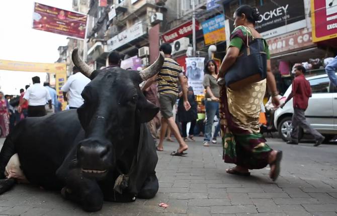 A Day in India