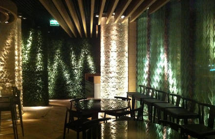 PointOfView lighting at Tori No Su