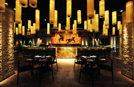 PointOfView lighting at Tori No Su