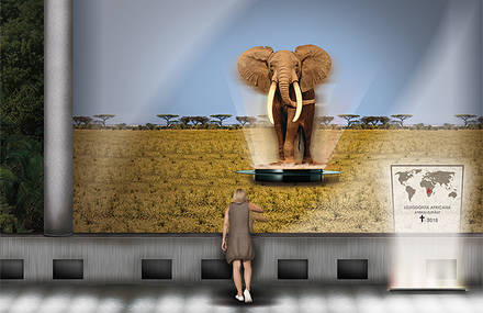VirtualZoo