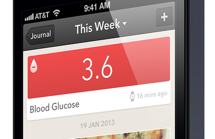 The Diabetic Journal