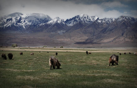 Voyage au coeur du Turkestan Oriental