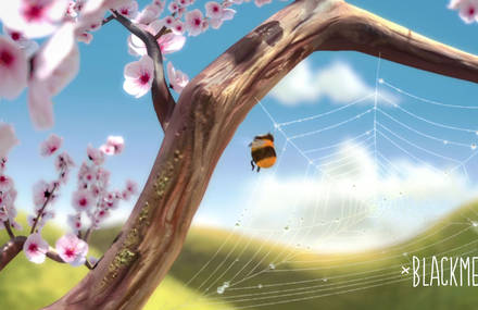Le Printemps du Cinéma 2013