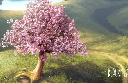Le Printemps du Cinéma 2013