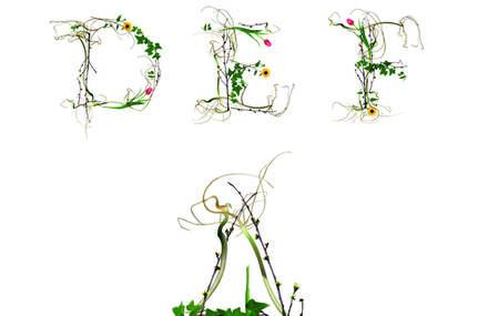 Novo Typo One year!