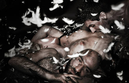Thomas D’agostino Photography