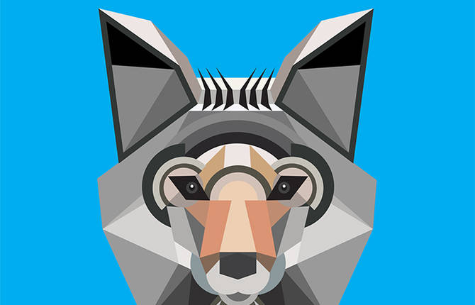 Animal Infographic