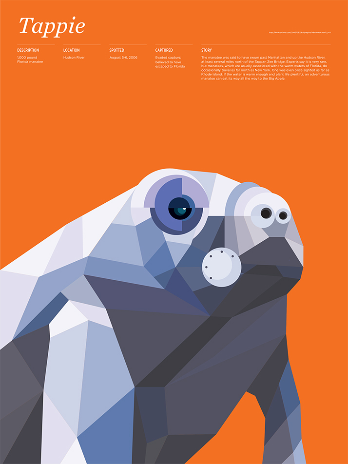 Animal Infographic2