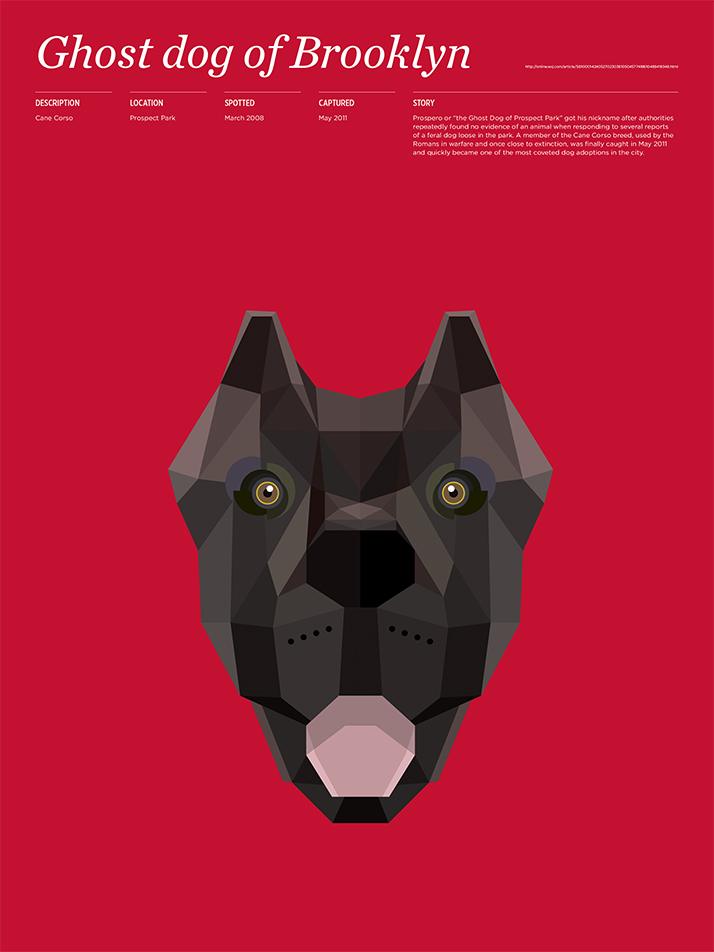 Animal Infographic8