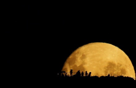 Full Moon Silhouettes