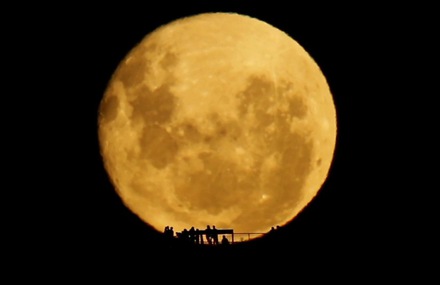 Full Moon Silhouettes