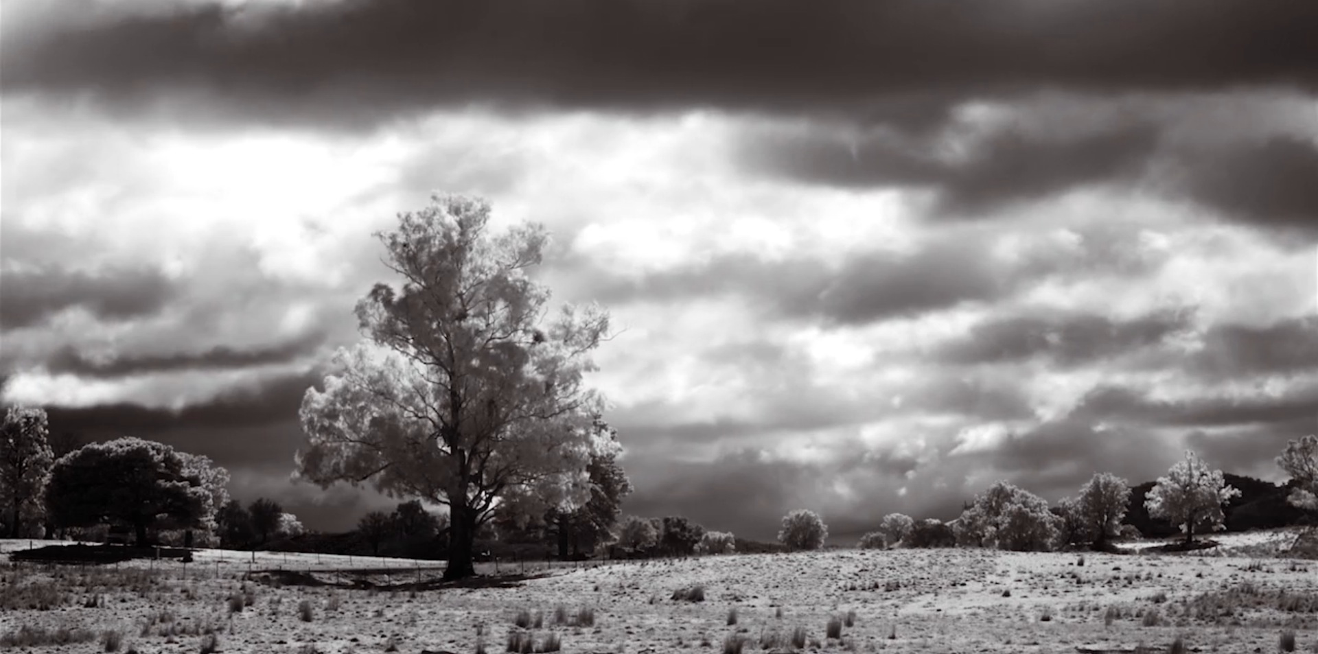 Infra Red Timelapse5