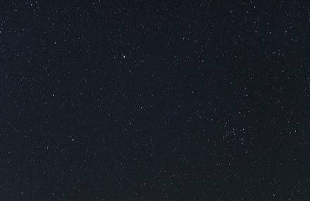 Night Wanderers