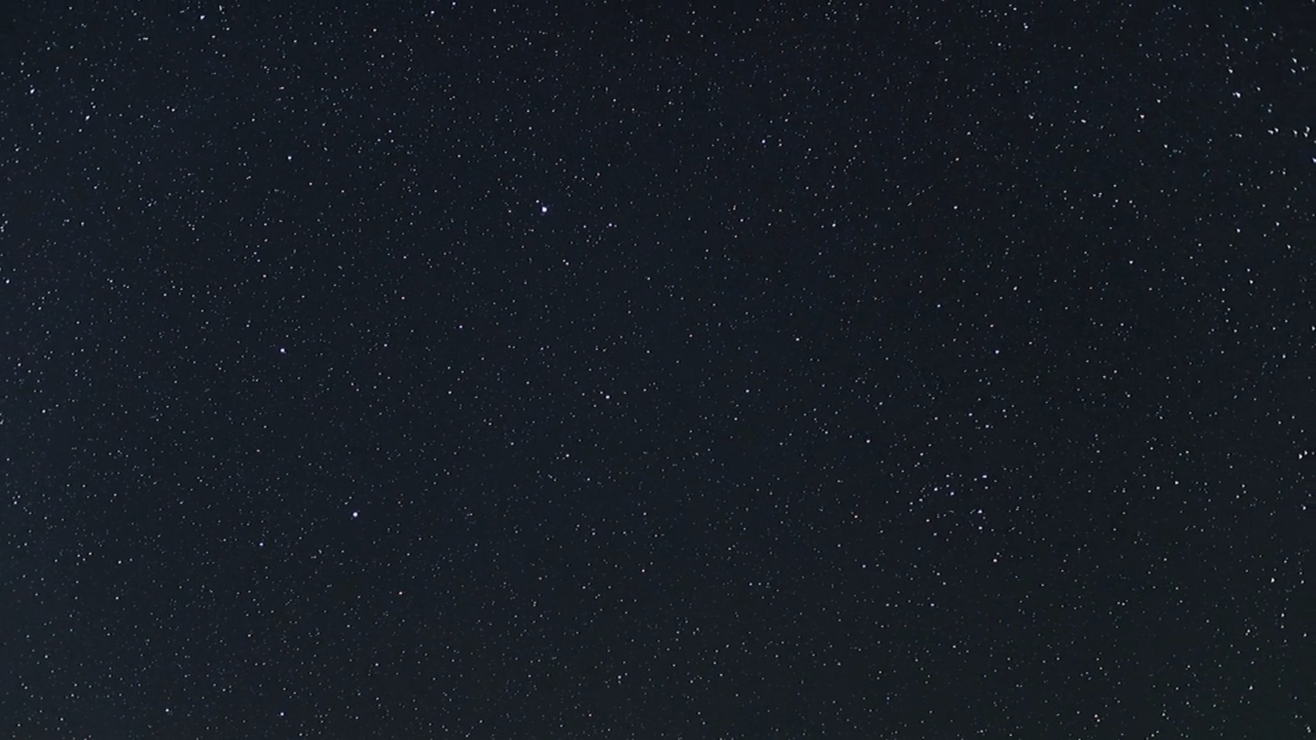 Night Wanderers