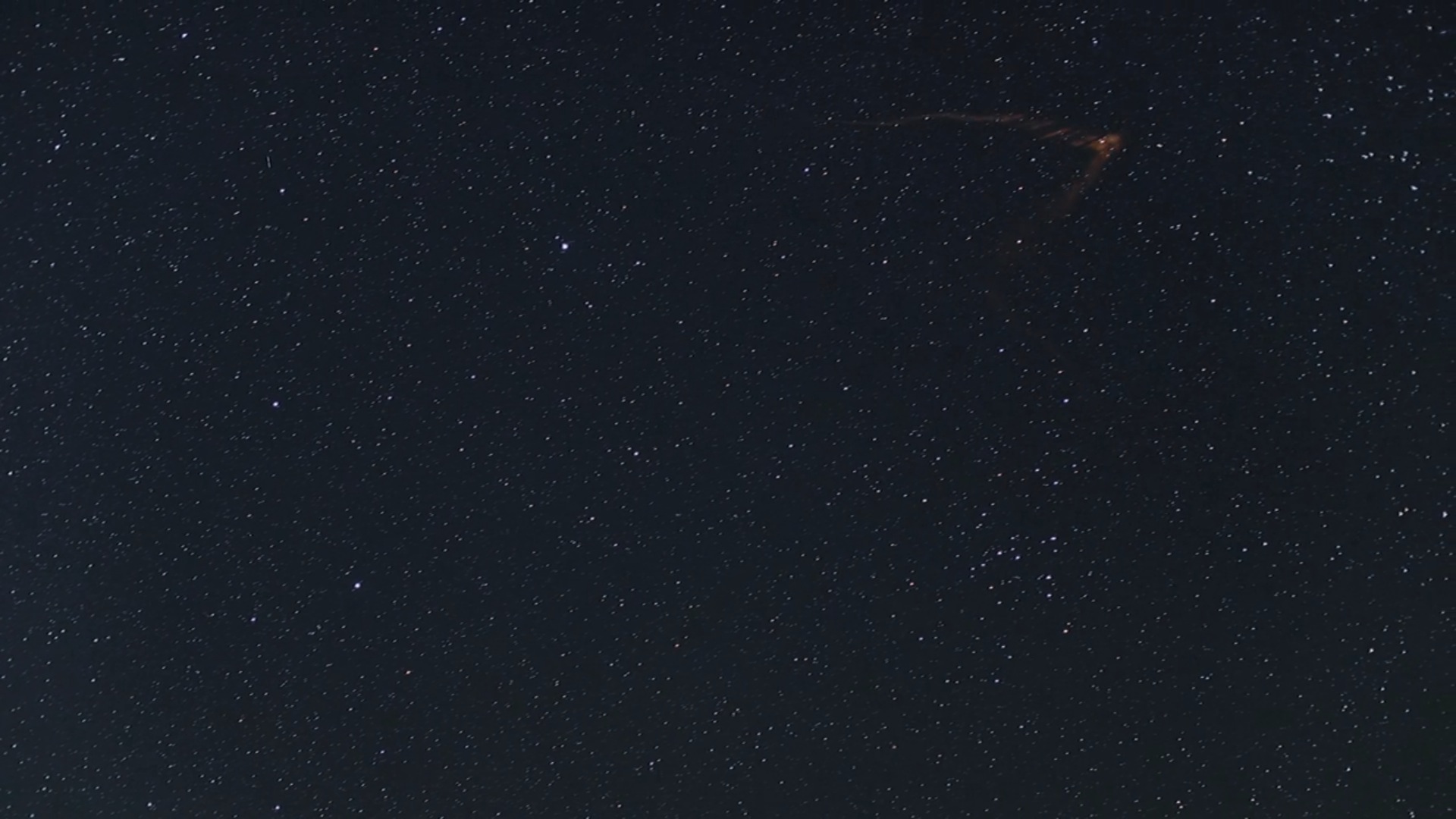 Night Wanderers4