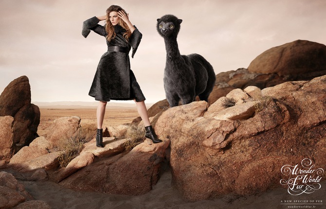 WWF – Wonder World Fur