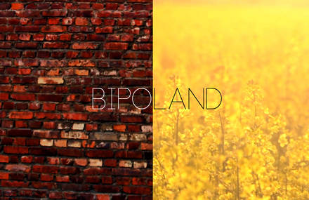 BIPOLAND