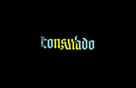 CONSULADO 2013