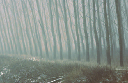 Teaser: We Hunt