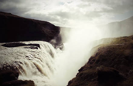 Icelandic Höney Möón