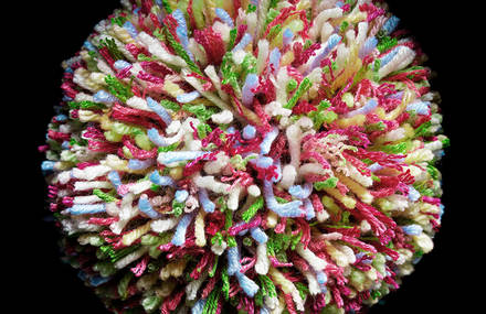 Pom Poms