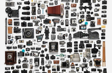 Arranged Collections by Jim Golden