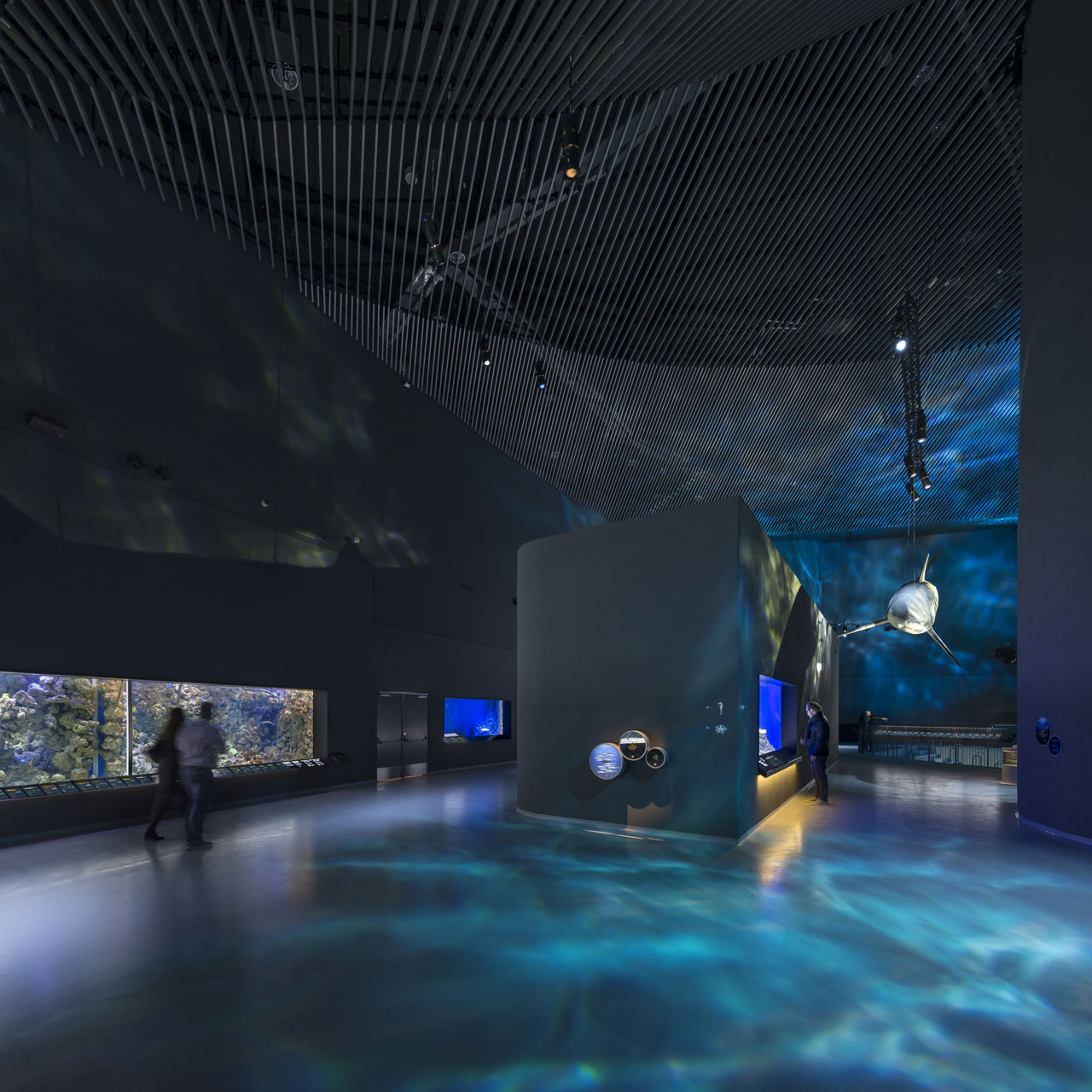Blue Planet Aquarium2