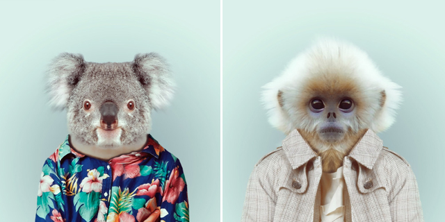 Fashion Zoo Animals4