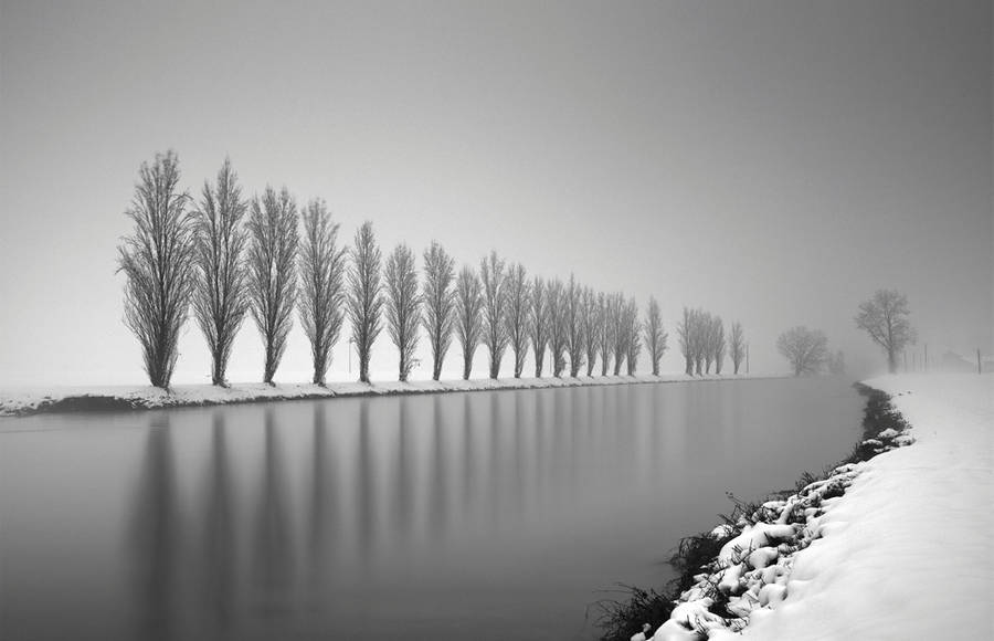 Tree Landscapes