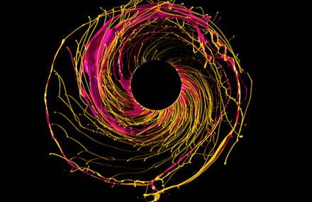 « Black Hole, paint in motion » par Fabian Oefner