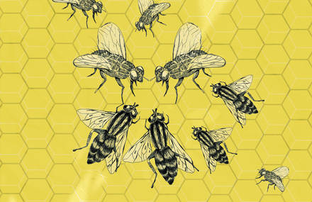 Illustrations 2013