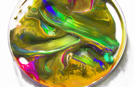 « Paint Pop »