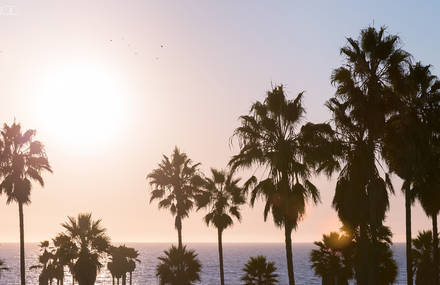 The BIG WEST : A journey on video clip